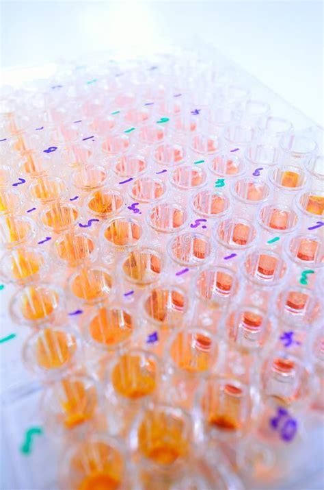 A 96 Well Microplate Stock Photo Image Of Pharma Silico 2311472