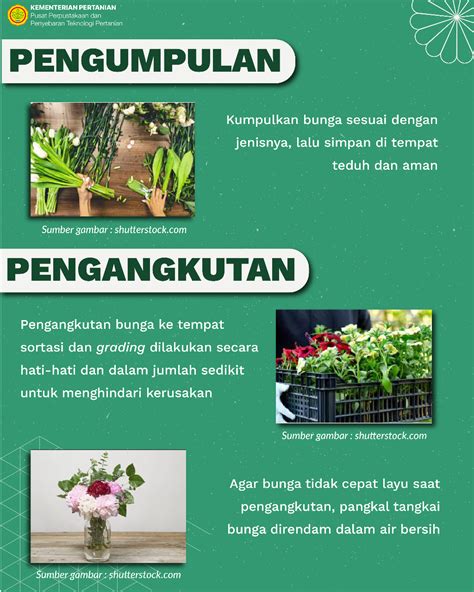 Teknologi Pascapanen Bunga Potong