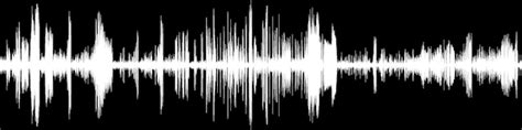 Verdi Attila Giuseppe Verdi Free Download Borrow And Streaming