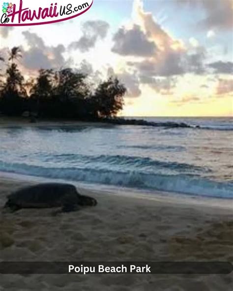 Poipu Beach Park Koloa Kauai Hi 2024 Visitor Guide