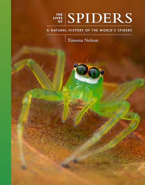 The Lives Of Spiders A Natural History Of The Worlds Spiders Asian Society Of Arachnology