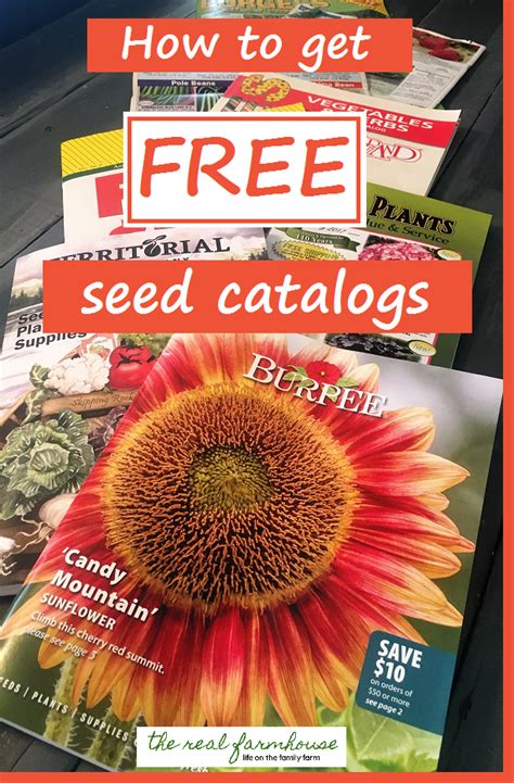 How to get free seed catalogs in 2024 | Seed catalogs, Heirloom seeds ...