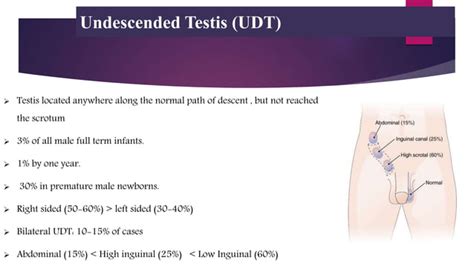 Empty Scrotum Ppt