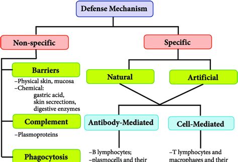 2 The Defense Mechanism Of The Body 2 Download Scientific Diagram