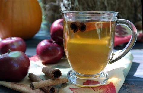 Easy Low Carb Apple Cider Recipe - Akron Ohio Moms