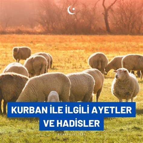 Kurban ile İlgili Ayetler ve Hadisler Nelerdir Kurban Bağışı