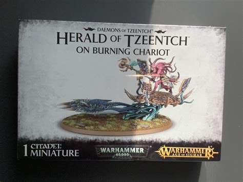 Daemons Of Tzeentch Herald Tzeentch On Burning Chariot New Ebay