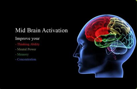 Midbrain Activation Dreams Edtech