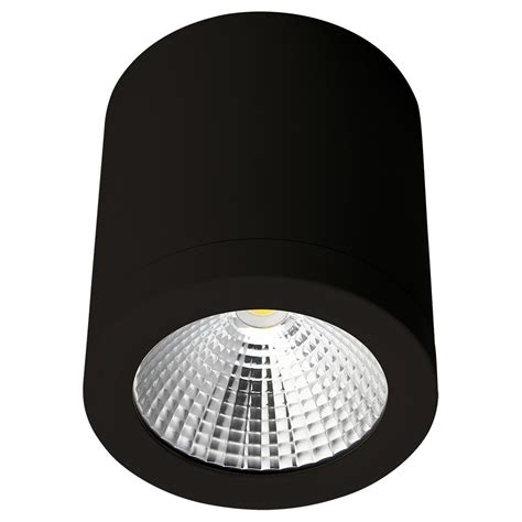 Led Ceiling Mounted Lights / LED Flush Mount Ceiling Light With Frosted ...