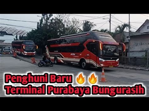 Penghuni Baru Terminal Purabaya Bungurasih Gebrakan Terbaru AGRA MAS