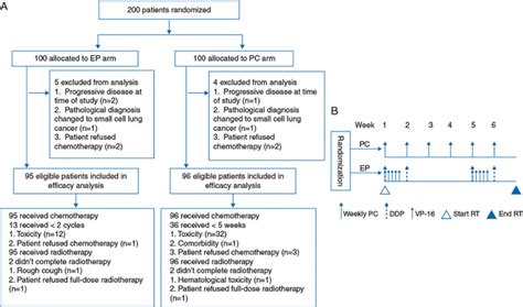 Etoposide And Cisplatin Versus Paclitaxel And Carboplatin With