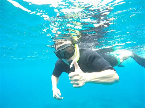 Snorkel Bobs Kapaa 17 Photos And 123 Reviews Snorkeling 4 734