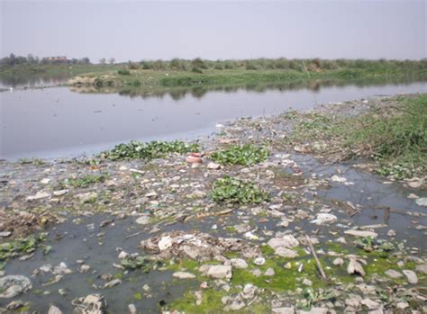 Yamuna River in Delhi, Yamuna River Pollution | Delhi Online