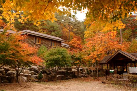 단풍이 아름다운 국립자연휴양림 10선