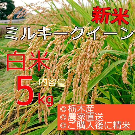 新米 （令和4年産）純度100％栃木産ミルキークイーン 正味5kg｜paypayフリマ