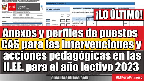 Minedu Anexos Y Perfiles De Puesto CAS Para Las Intervenciones Y