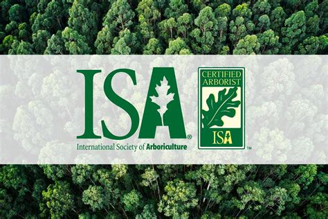 Nuevos arboristas certificados en Argentina Asociación Civil de