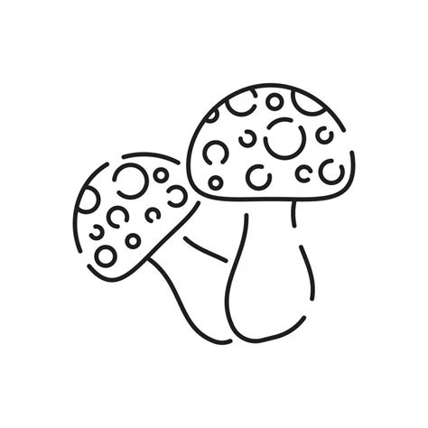 Forest Mushroom Vector Line Icon Outline Forest Mushroom Vector Icon