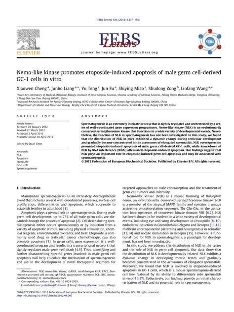 Pdf Nemo Like Kinase Promotes Etoposide Induced Apoptosis Of Male