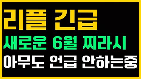 리플 긴급속보 6월 새로운 찌라시 유튜버들 전부 모르나보네요 리플 리플호재 비트코인 리플코인 리플전망 리플대응 리플