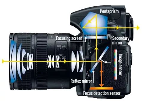 Mirrorless Vs DSLR Cameras Which Is Best For You