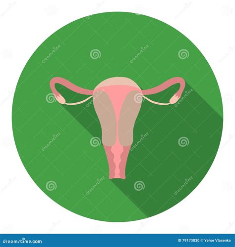 Uterus Icon In Flat Style On White Background Organs Symbol Stock