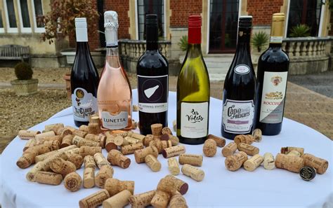 The Netflix 6 :: Pierre le Vin