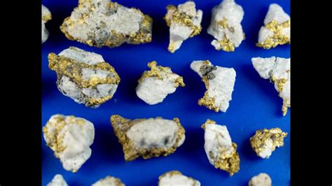 A Nice 2 Ounce Collection Of California Gold In Quartz Specimens Youtube