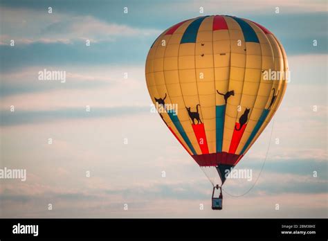 Cat Hot Air Balloon Flying Through The Sky Stock Photo Alamy