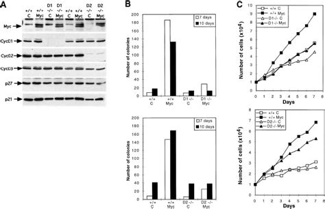 Cyclins D1 And D2 Mediate Myc‐induced Proliferation Via Sequestration