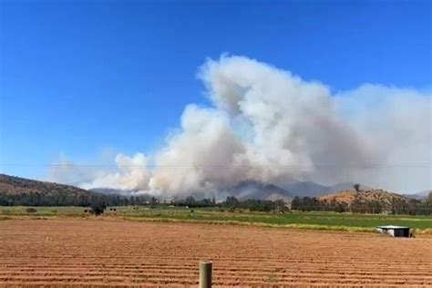 Cerca De Hect Reas Ha Consumido Incendio Forestal En Cartagena