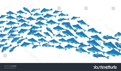 School Of Fish Vector at Vectorified.com | Collection of School Of Fish Vector free for personal use