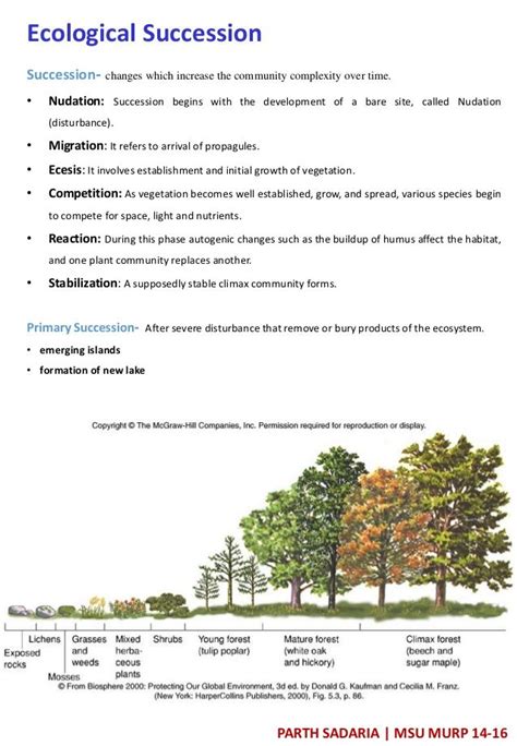 Ecological Succession Worksheet Answers Englishworksheetmyid