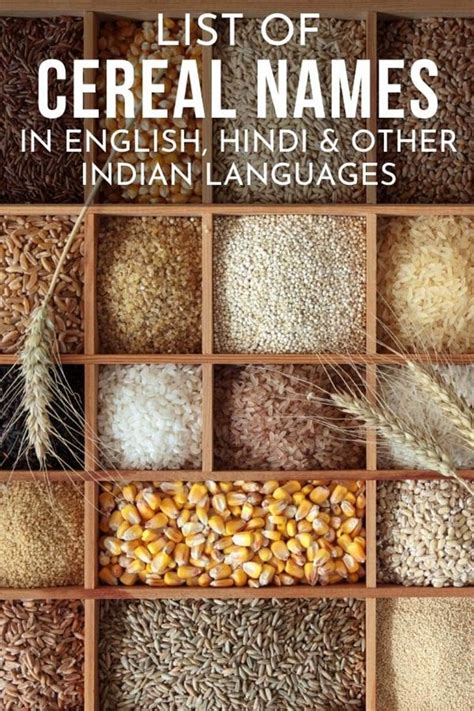 Cereals Names Names Of Grains In English Hindi Tamil Cereals List