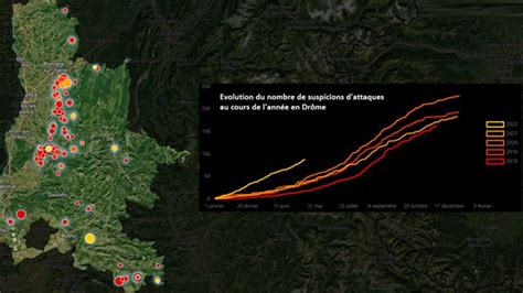 Pr Dation Les Attaques De Loups Explosent Dans La Dr Me