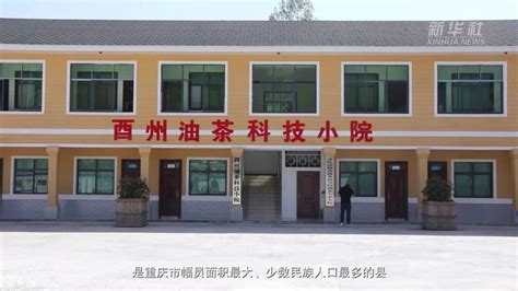 新华全媒 ｜重庆酉阳：“山地旅游 山地农业”助力乡村振兴 新华网