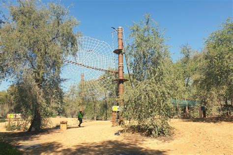 Swing your way through Aventura Park Dubai - Dubai Travel Planner