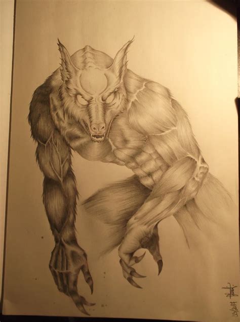 Werewolf Pencil Drawing Werewolf Pencil Drawings Art Art Background