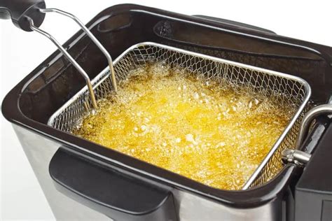 Best Deep Fryer Reviewed And Rated For 2018 Janes Kitchen