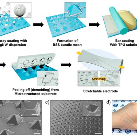 A Schematic Of The Fabrication Process Of The Stretchable Electrode