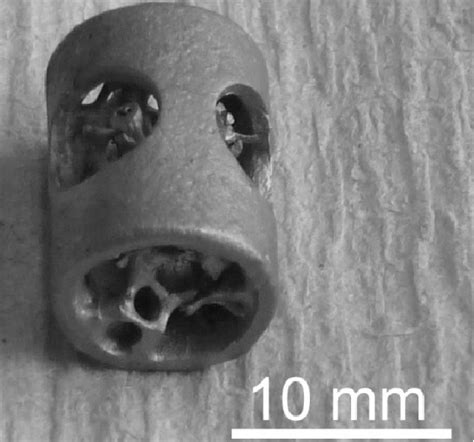 Open Cell Titanium Ti 6al 7nb Implants Download Scientific Diagram