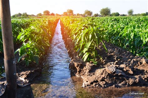 Save Water In Agriculture