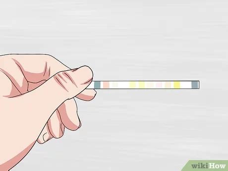 How To Use A Urine Dipstick Test 12 Steps With Pictures