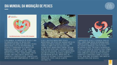 Icmbio Centro Nacional De Pesquisa E Conserva O De Peixes