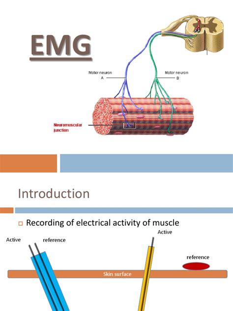 Emg Neuromuscular Junction Action Potential