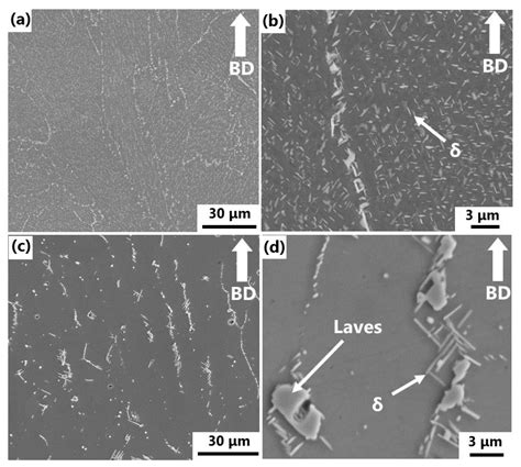 Metals Free Full Text Microstructure And Creep Properties Of Ni