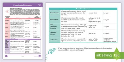 Phonological Process Chart - Speech Pathology (teacher made)