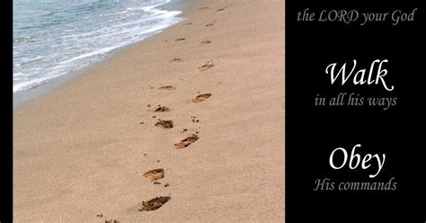 Walk In Wisdom Digging The Word