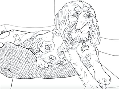 Cavalier King Charles Spaniel Coloring Page Sketch Coloring Page