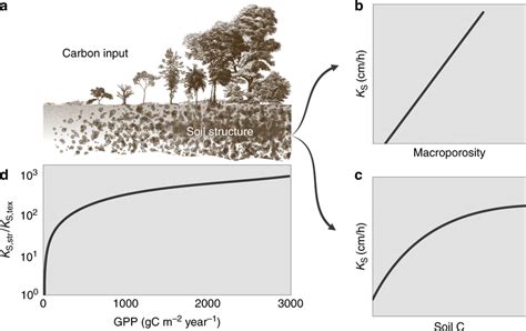 Soil Structure And Saturated Hydraulic Conductivity Conceptual